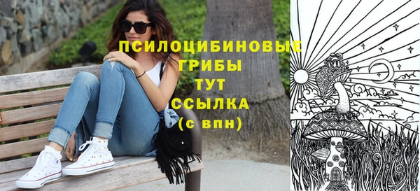 дмт Армянск