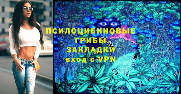 дмт Армянск