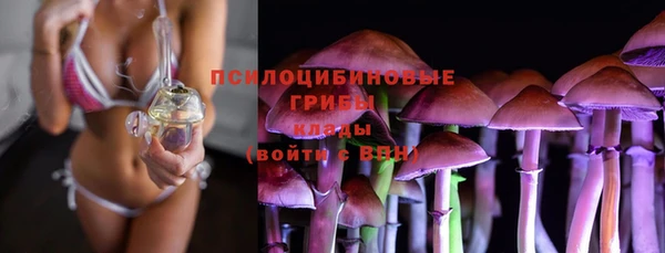 спайс Арсеньев