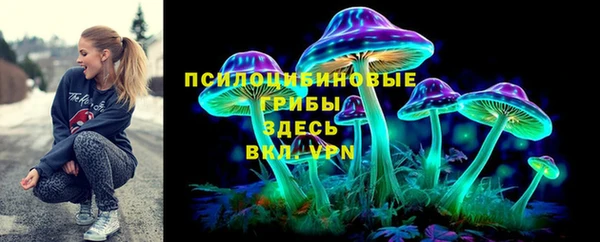 дмт Армянск