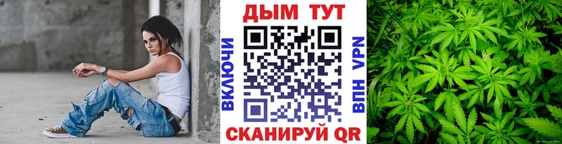 Каннабис тримм  сколько стоит  mega ССЫЛКА  Онега 